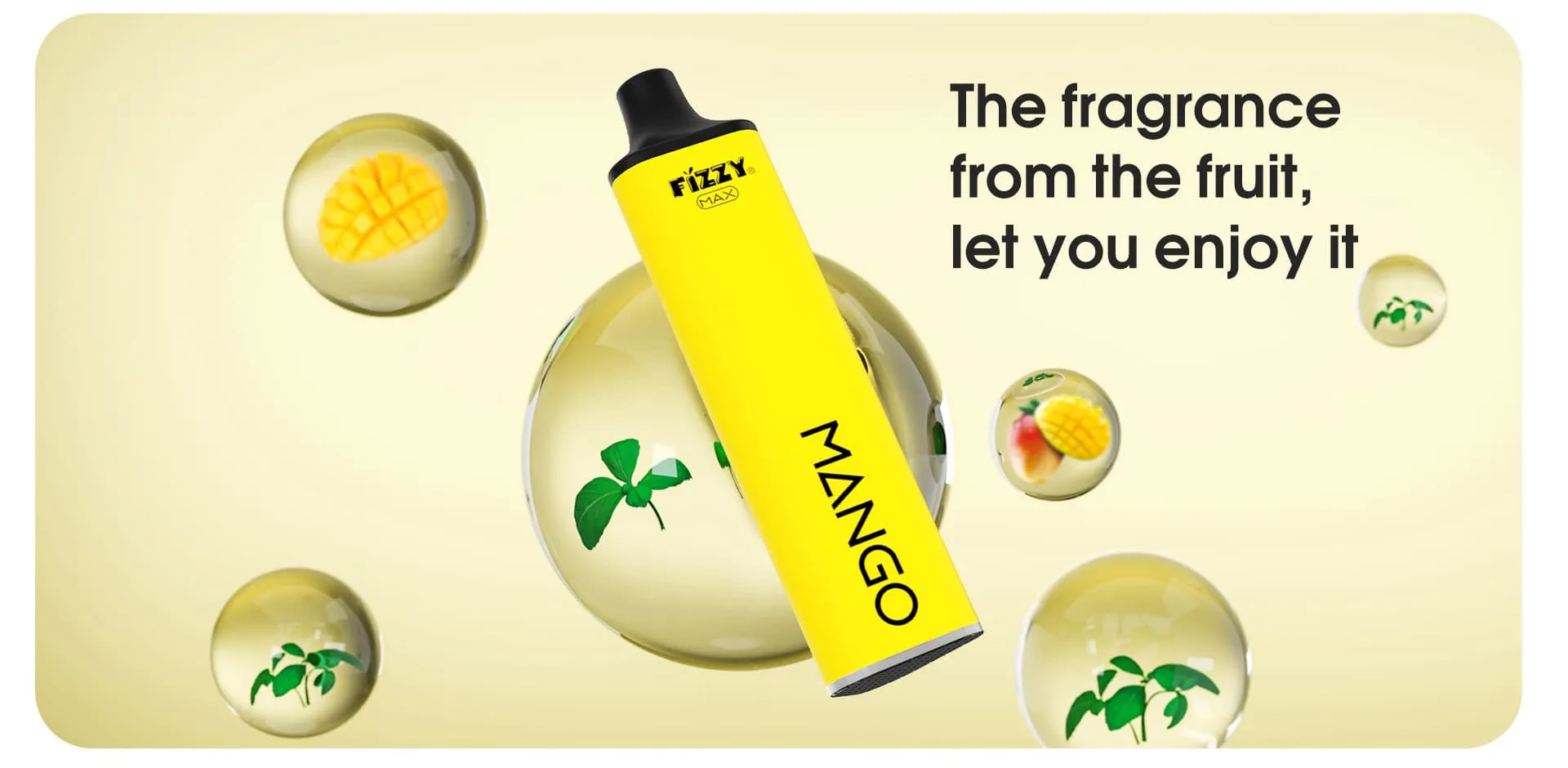 Fizzy Max07