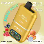 Fizzy Twins 50000 Puffs